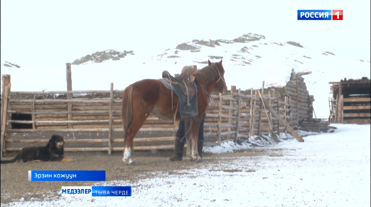 Харыысалгалыг үе